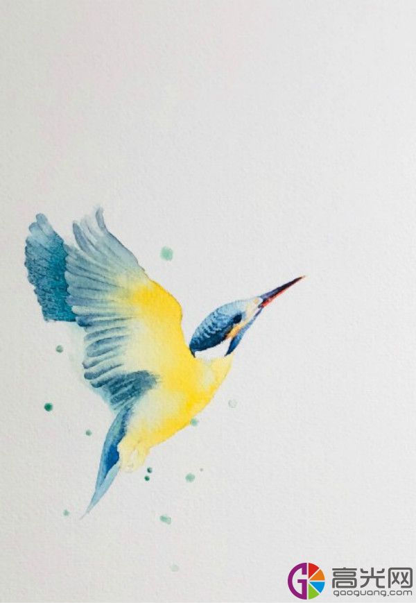 超美的水彩翠鸟绘画教程一步步教你画水彩画翠鸟