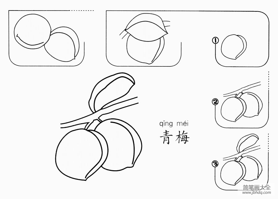 青梅怎么画