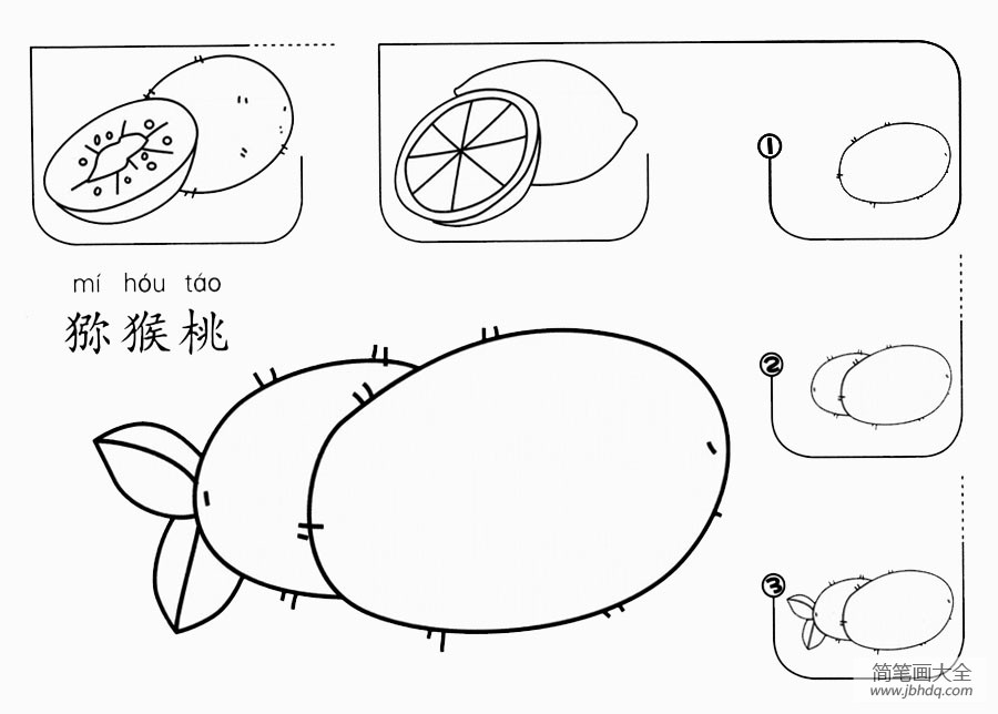 猕猴桃怎么画