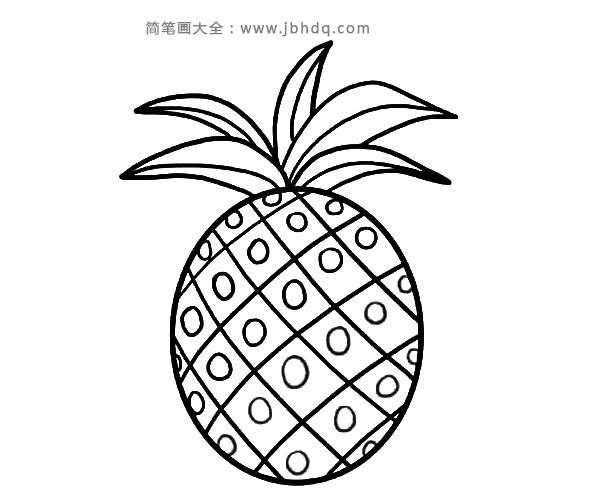 儿童学画简笔画菠萝