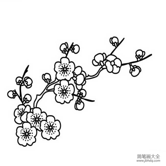 花朵简笔画梅花简笔画图片