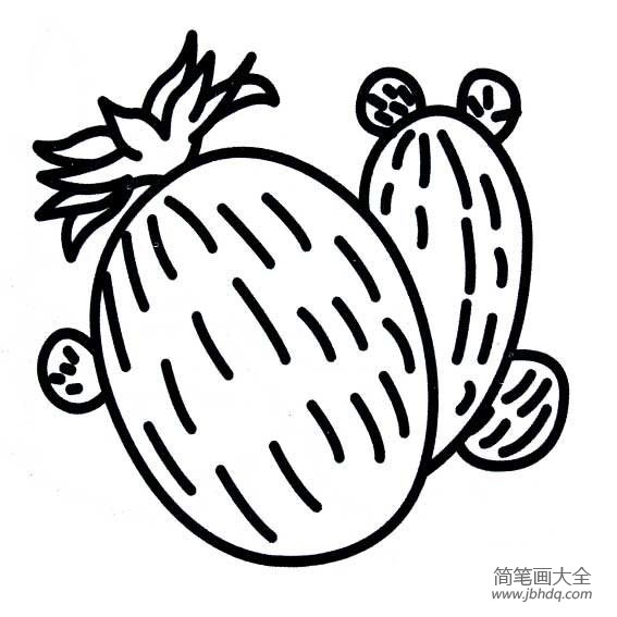 植物简笔画大全仙人球简笔画图片