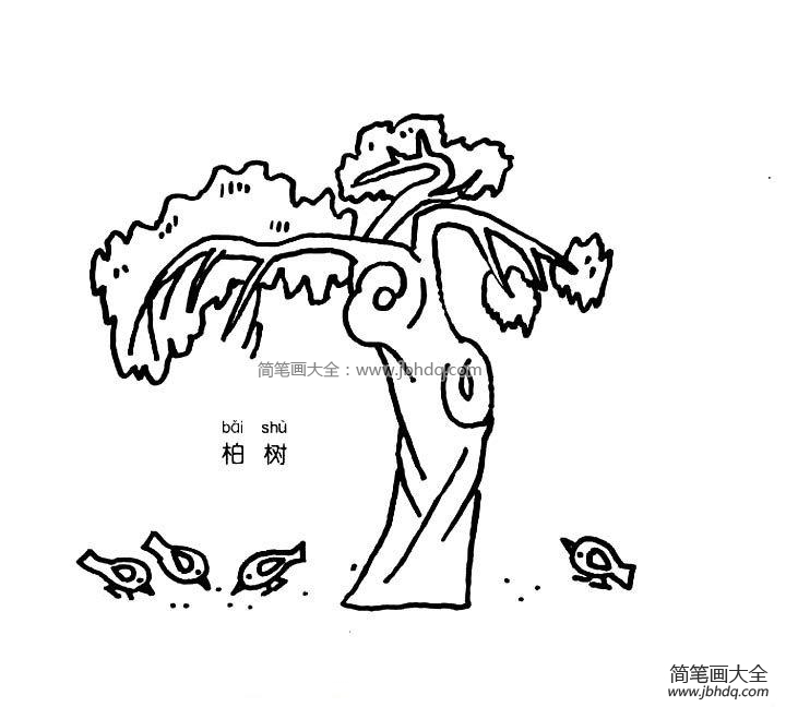 柏树简笔画图片