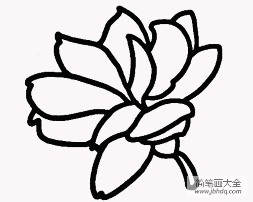 茉莉花简笔画画法