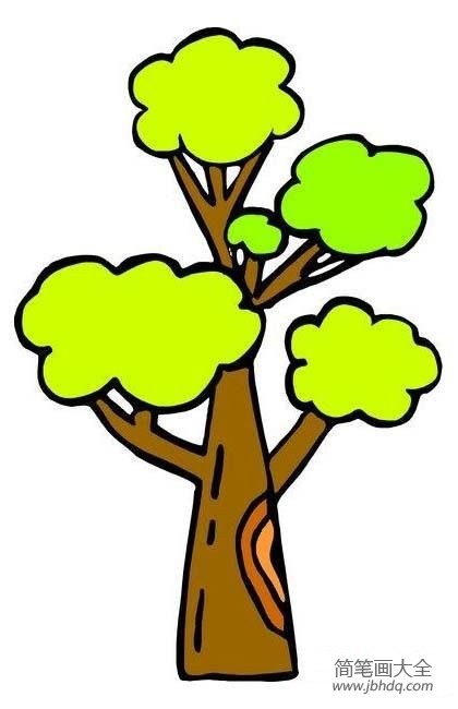幼儿漂亮大树的简笔画图片