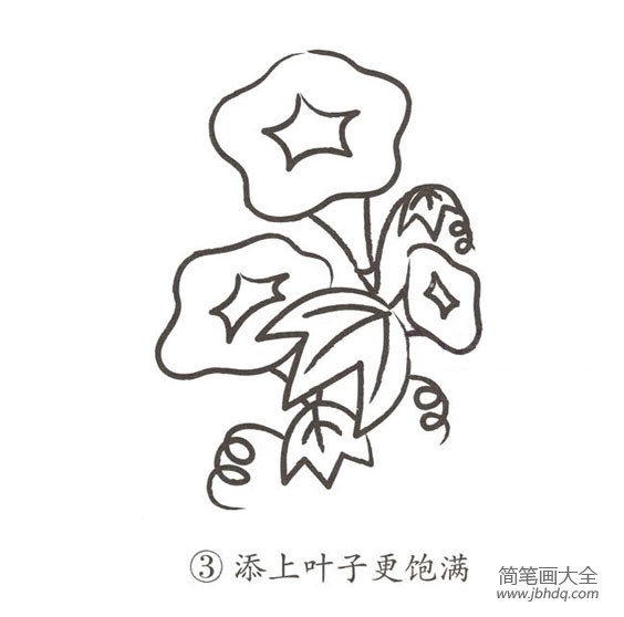 幼儿简笔画牵牛花