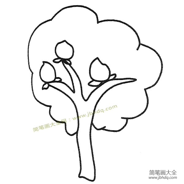 儿童简笔画大全 不同的桃树简笔画画法