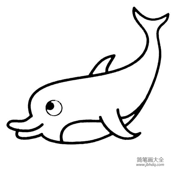 海洋生物简笔画海豚简笔画图片