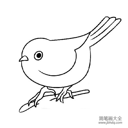 画眉鸟简笔画图片