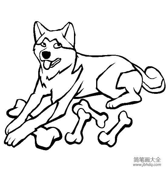 小狗图片大全秋田犬简笔画图片