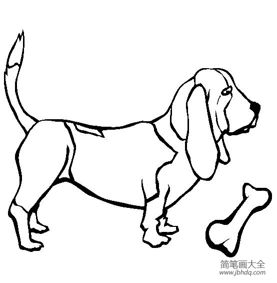 小狗图片大全巴吉度猎犬简笔画