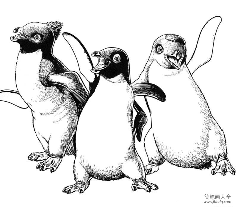 企鹅简笔画快乐的大脚简笔画大全