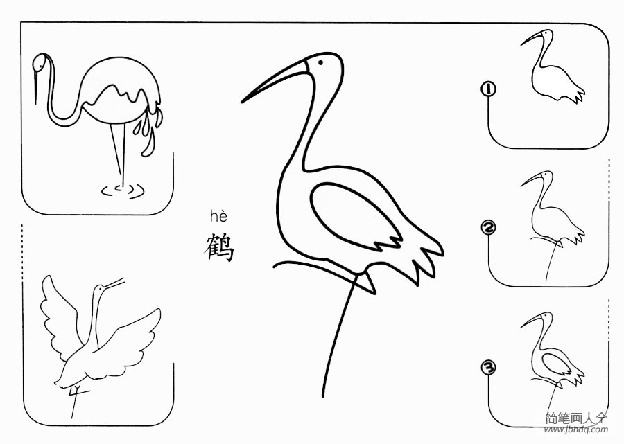 鹤怎么画