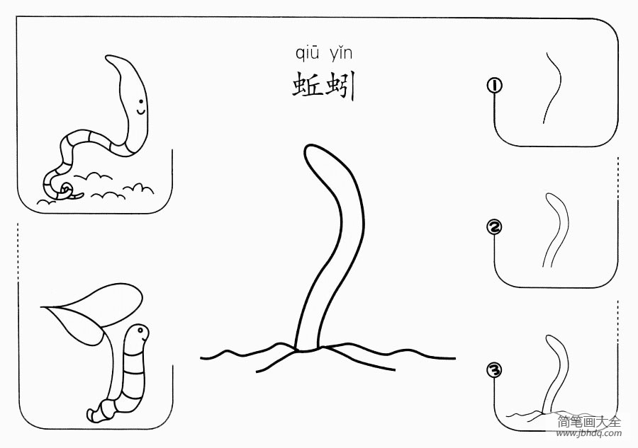 蚯蚓怎么画