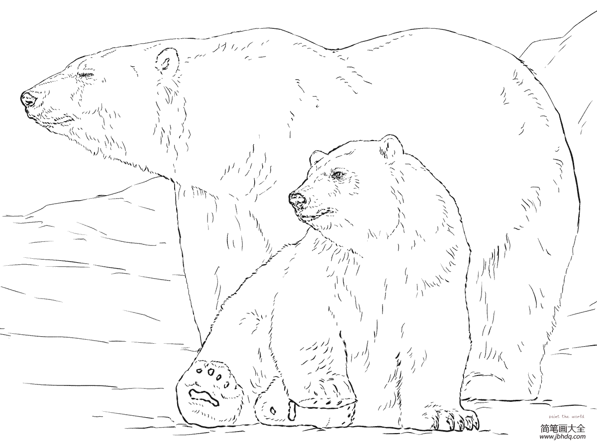 慵懒的北极熊