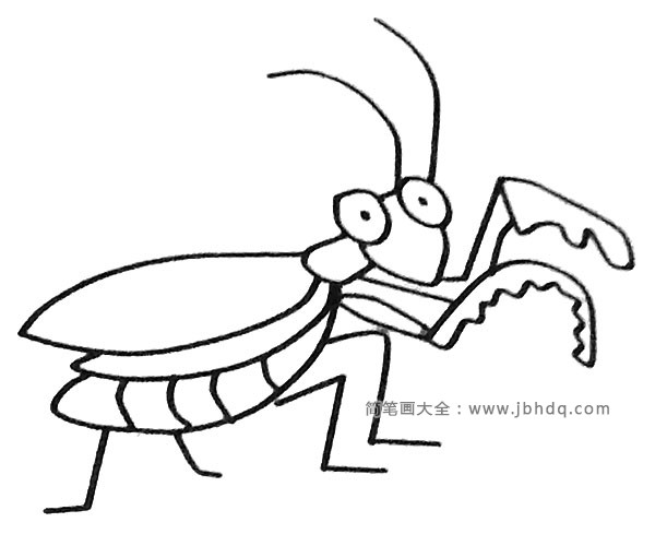一组卡通螳螂简笔画图片