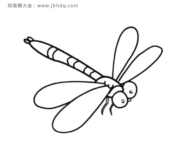 蜻蜓简笔画 0下载 0收藏