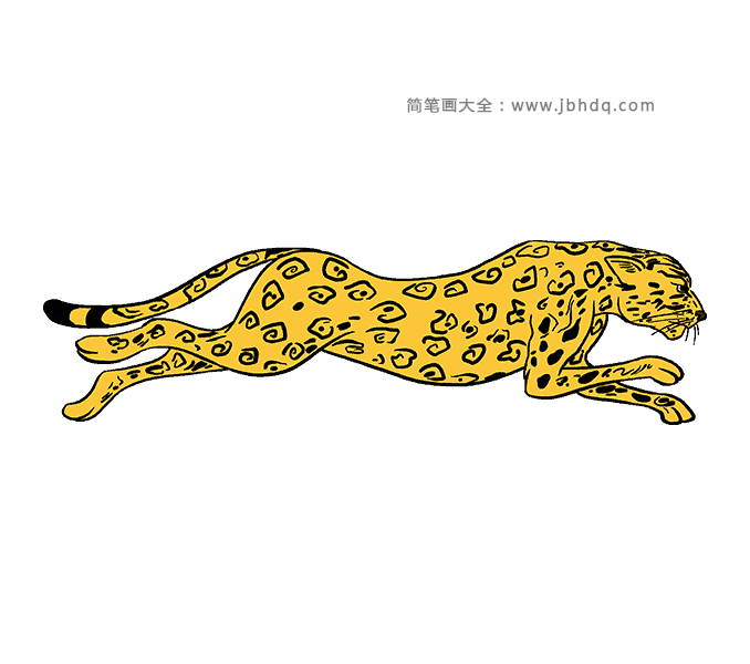 猎豹简笔画