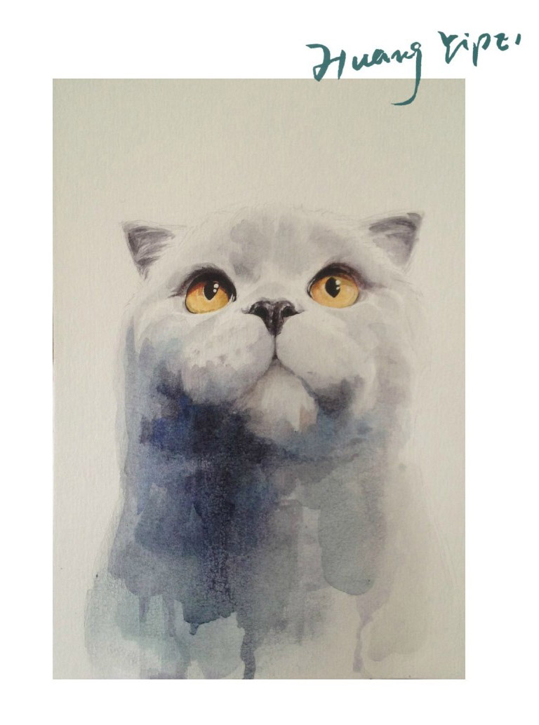 可爱英国短毛猫蓝猫水彩绘制教程