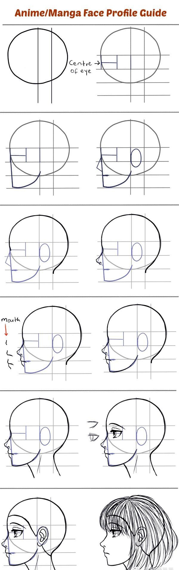 人物脸型画法及脸部结构比例
