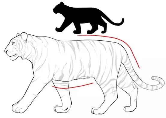 推荐猫老虎狮子的画法轻微课绘画教程专区