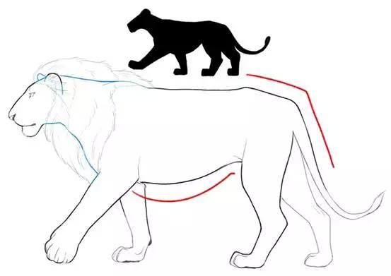 推荐猫老虎狮子的画法轻微课绘画教程专区