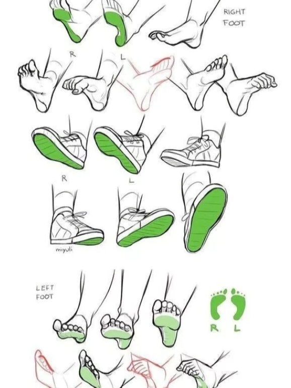 今天给大家分享的是有关于动漫人体脚部的绘画参考素材,大家画脚部的