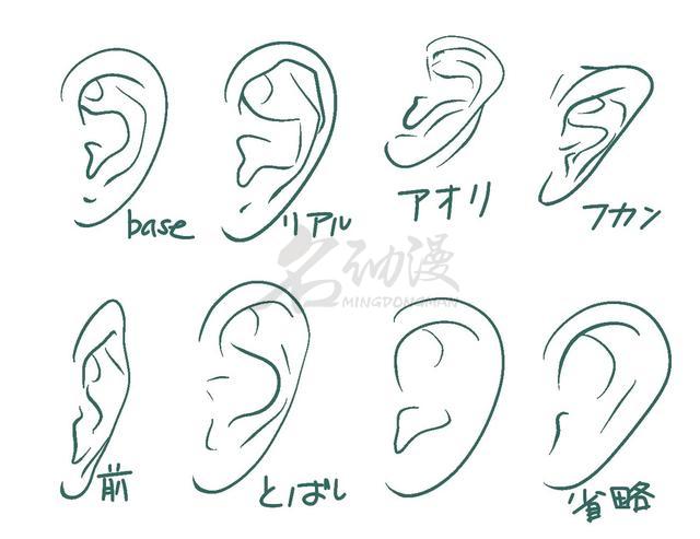 了解人物耳朵结构及其阴影画法