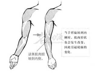 超简单的手臂画法