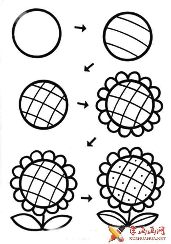 一步一步教你画向日葵简笔画