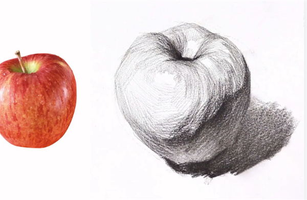 素描苹果的画法及步骤