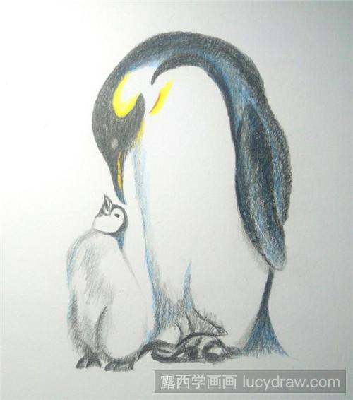 企鹅彩铅画