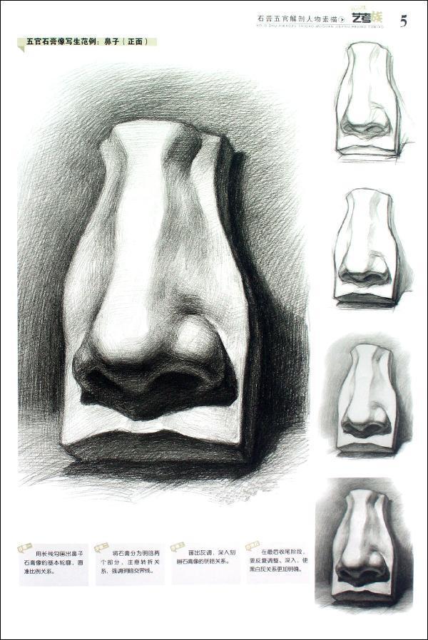 素描鼻子的画法步骤
