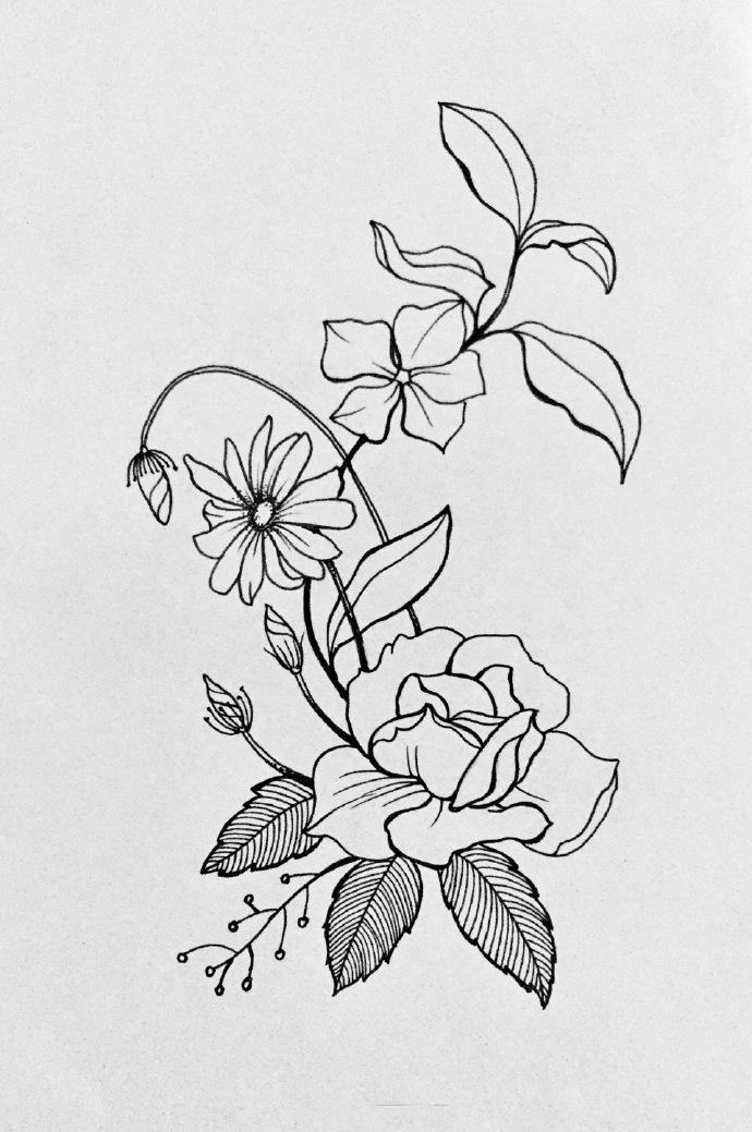 手把手教你用针管笔画花卉,花卉简笔画线稿步骤图