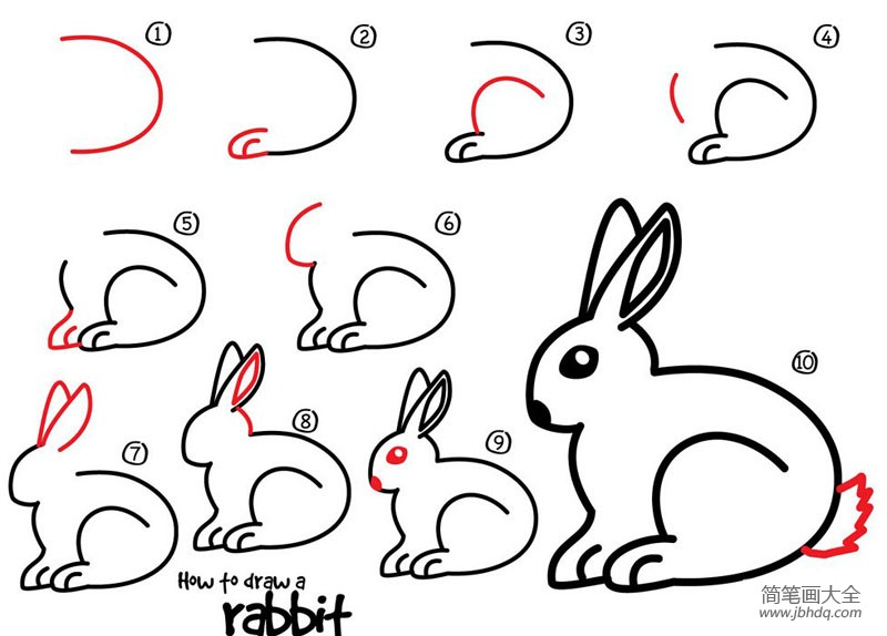 现在画兔子的头上,一定要有一个小的地步,兔子的鼻子会