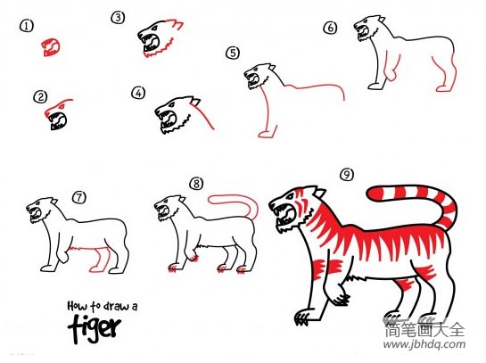 老虎的简易画法步骤图片