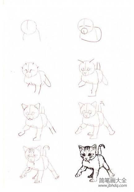 如何画猫咪 一步一步图片