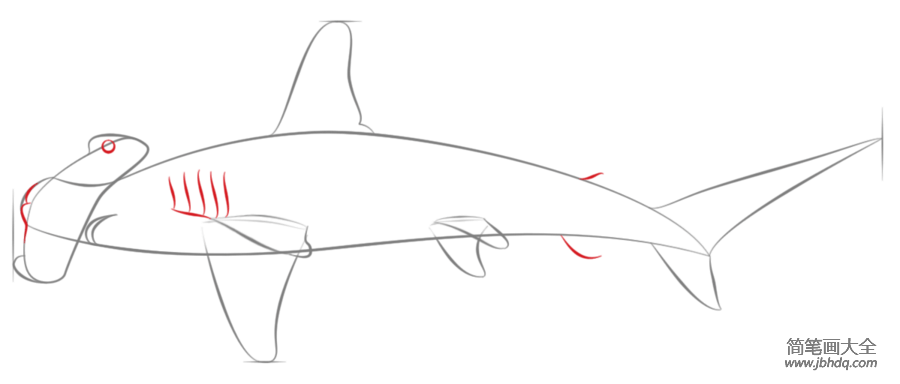 锤头鲨鱼图片简笔画图片