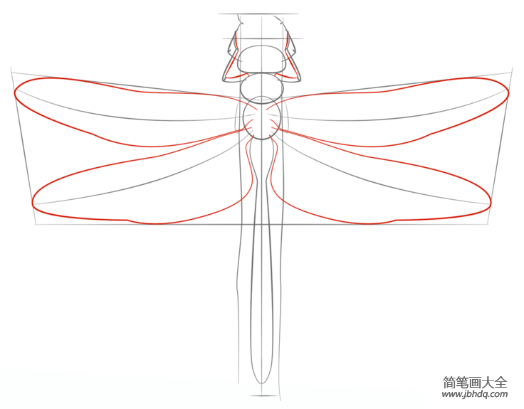 蜻蜓的画法 一步一步图片