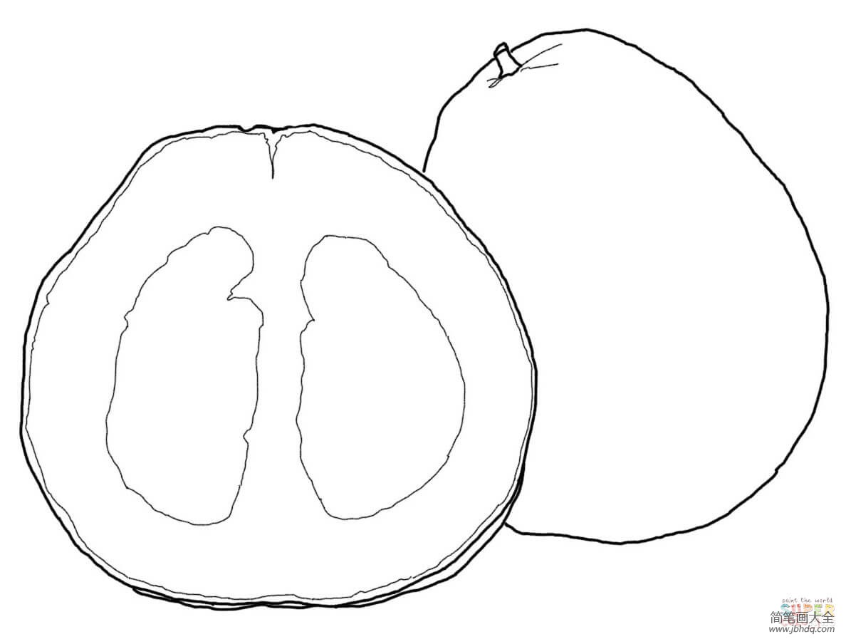 柚子的画法儿童简笔画图片