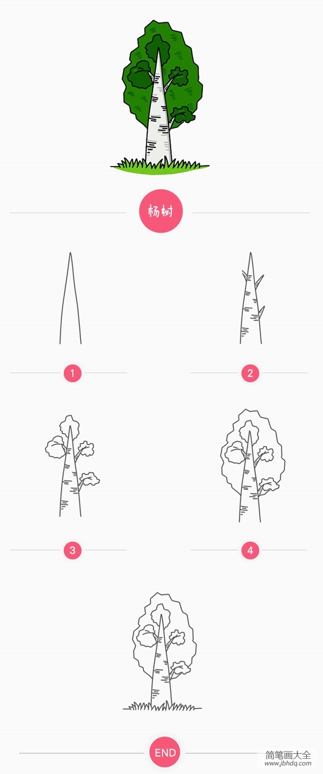 杨树怎么画漂亮又简单图片