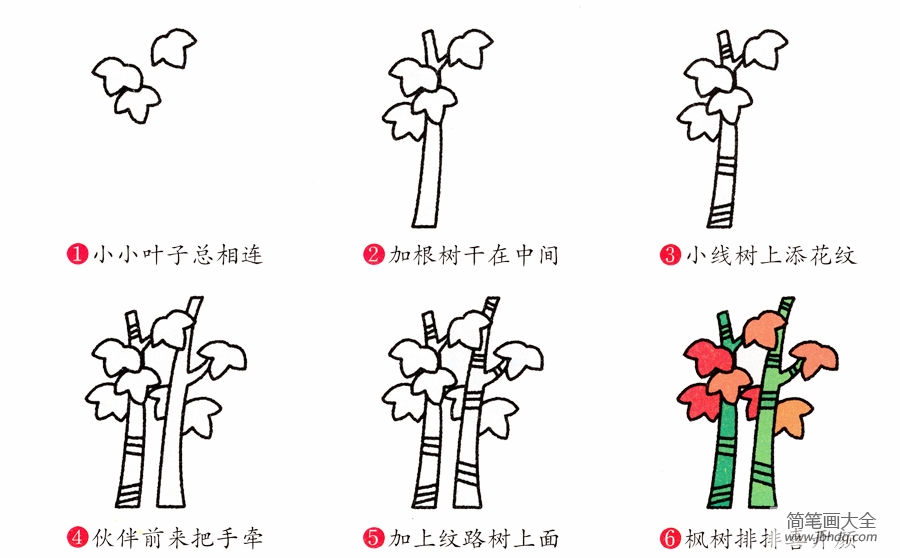 红枫树的画法图片