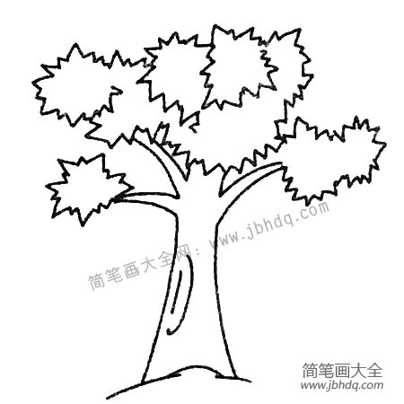 红枫树简笔画图片