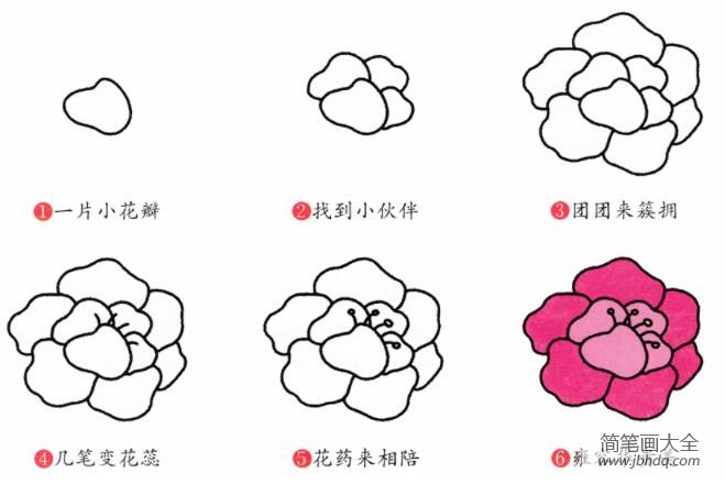 各种花朵的画法教程图片