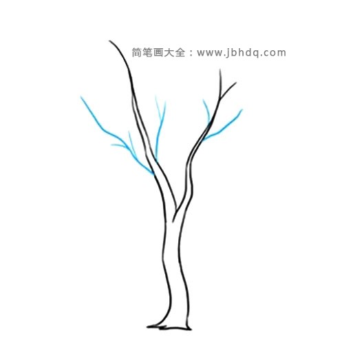 3绘制树干上的枝条