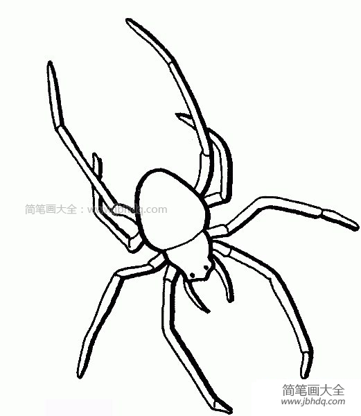 蜘蛛简笔画恐怖吓人图片