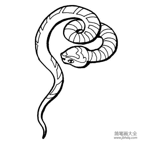 毒蛇画法 巨型图片