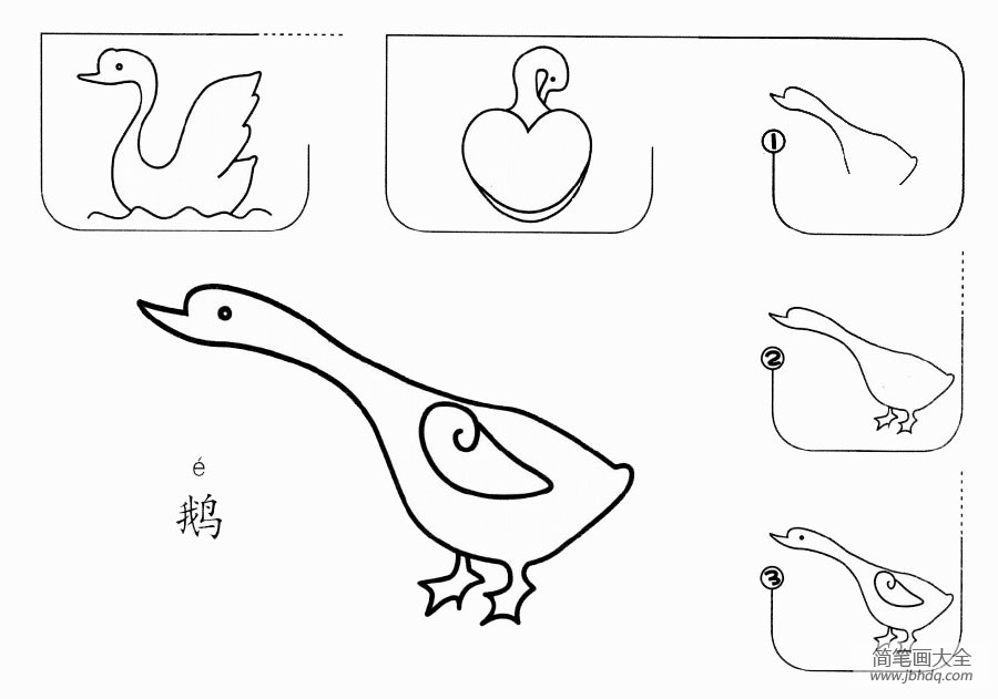 鹅的画法简单图片
