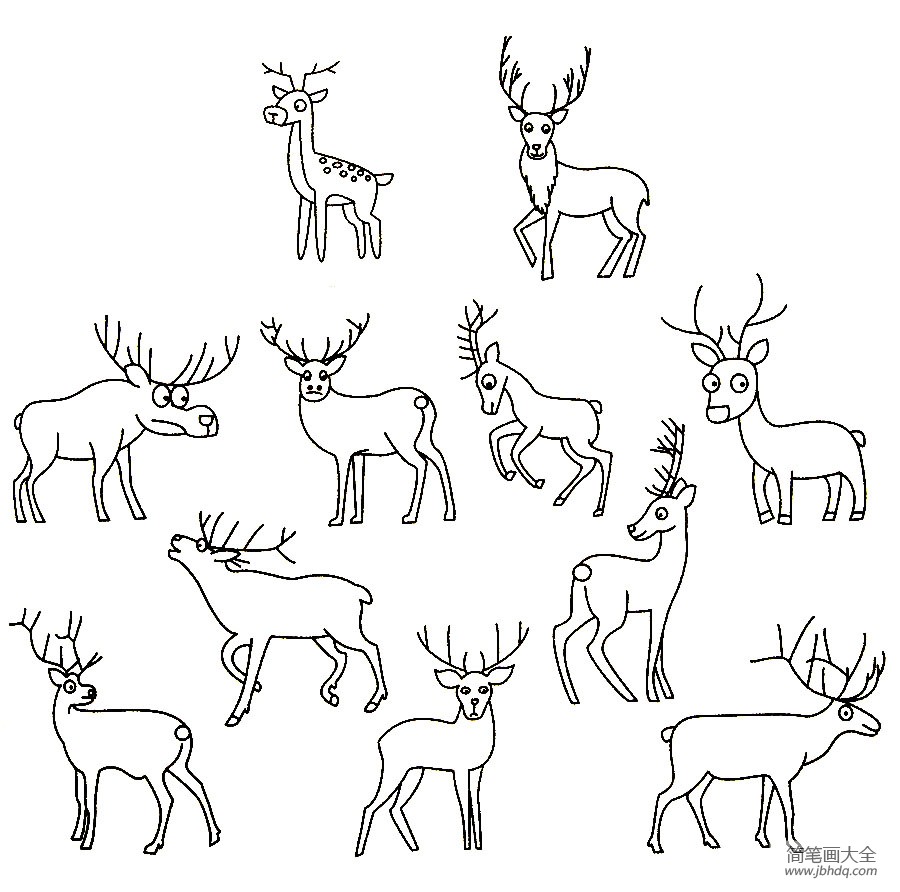 麋鹿的简单画法图片