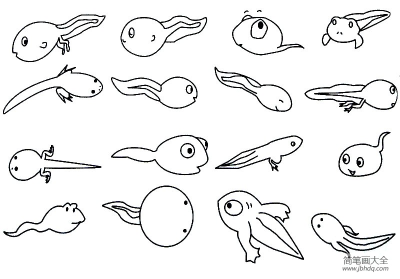 下面是简笔画大全网小编收集整理的关于蝌蚪的简笔画大全,供小